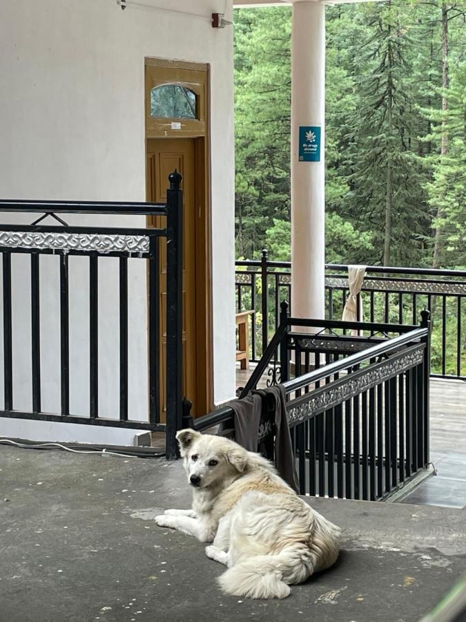 Wabi Sabi Riverside Hostel Kasol Zewnętrze zdjęcie